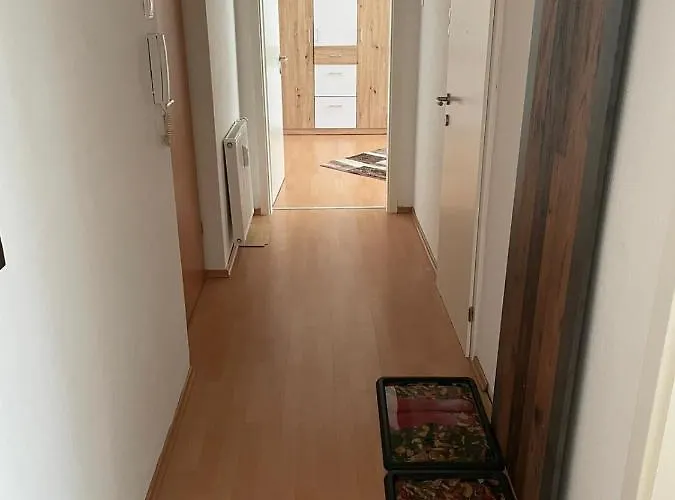 Sorinas Wd5 Werndorf