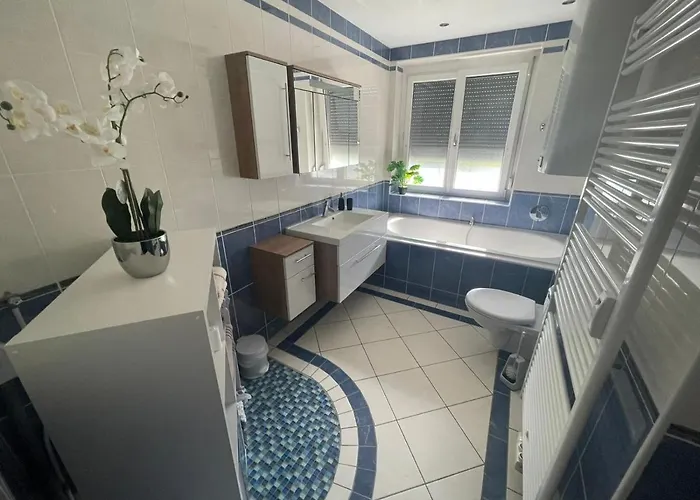 Sorinas Wd5 * Werndorf